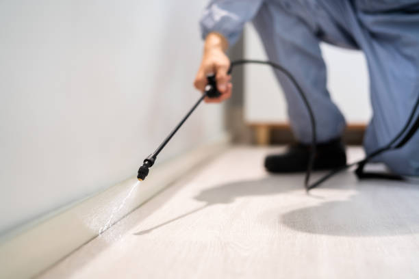 Certified termite inspector examining foundation in Somerset